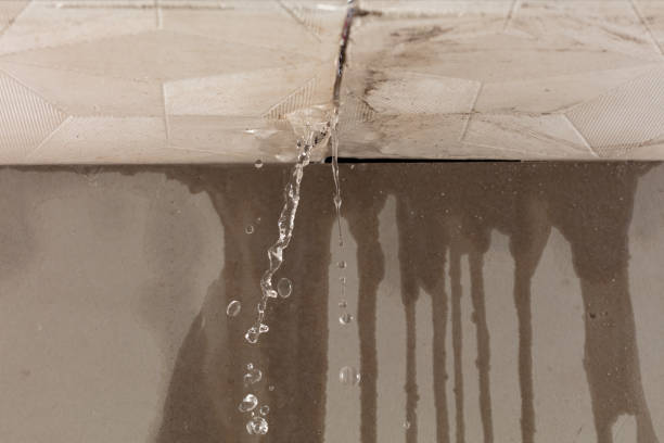 Professional Burst Pipe Cleanup technician working in Leadville, CO